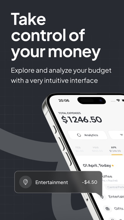 Money Budget Tracker. Spending