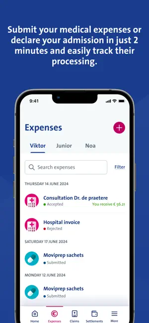 Vanbreda screenshot 3