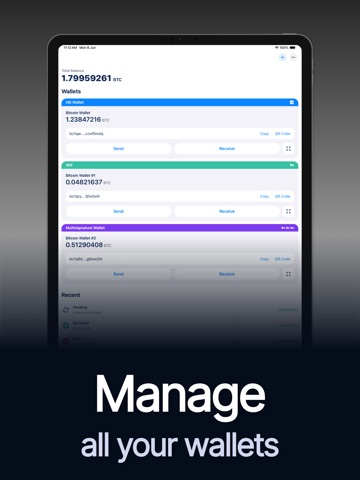 Aura: Bitcoin Wallet ipad screenshot 2
