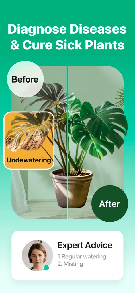 PlantLush: Plant ID & Care Pro - Dieses Tool diagnostiziert Pflanzenkrankheiten effektiv, ersichtlich an dem Vorher-Nachher-Vergleich einer Monstera-Pflanze und den angezeigten Expertenratschlägen.