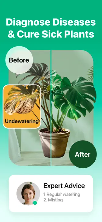 PlantLushのスクリーンショット（6/8）