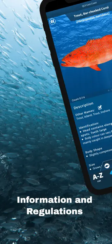 iDfish screenshot 3 of 5