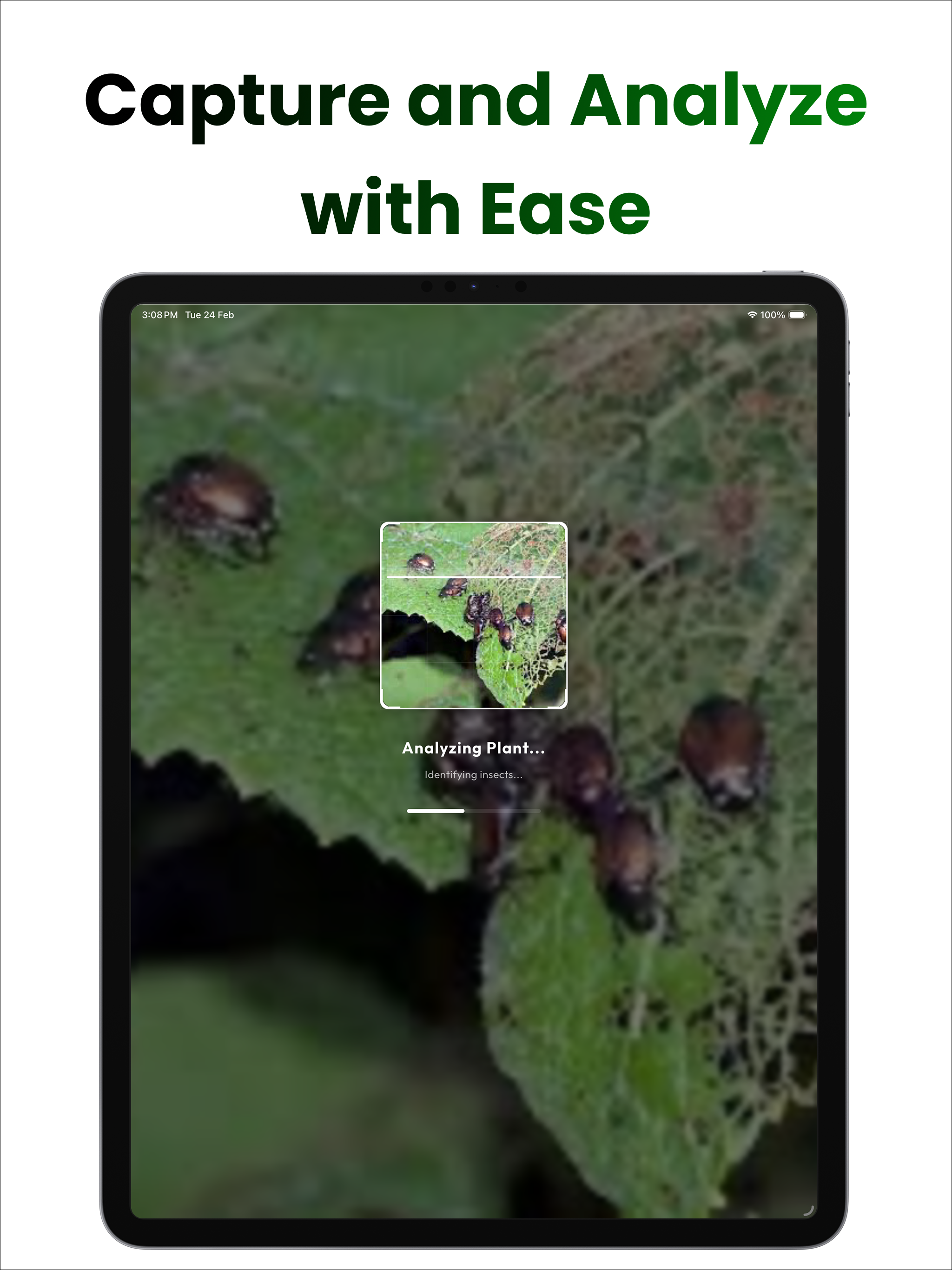 AI Pest Identifier Plant Care