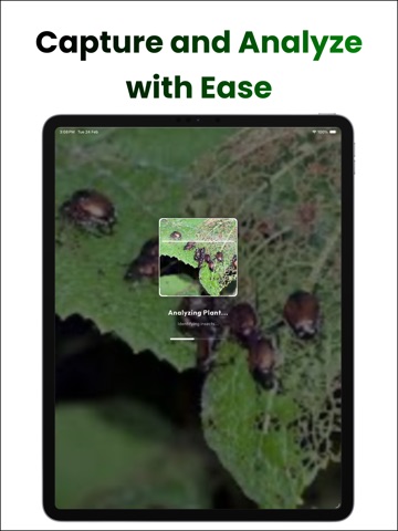AI Pest Identifier Plant Care iPad screenshot