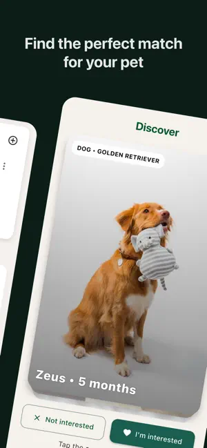 Pet Society - Meet Pet Lovers screenshot 4