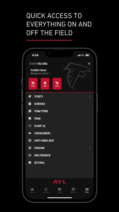 Atlanta Falcons Screenshot