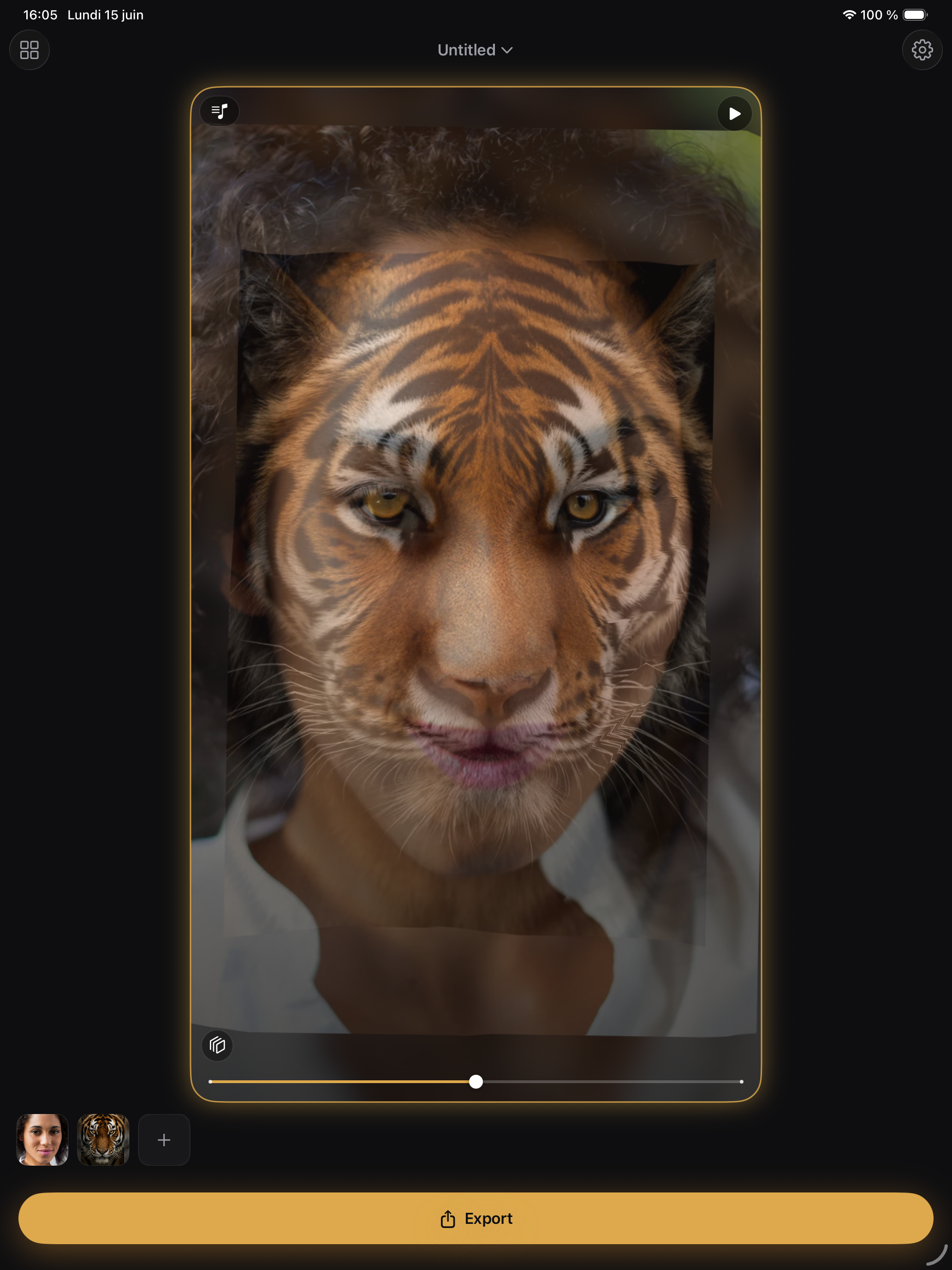Face Morph: Animal & Video