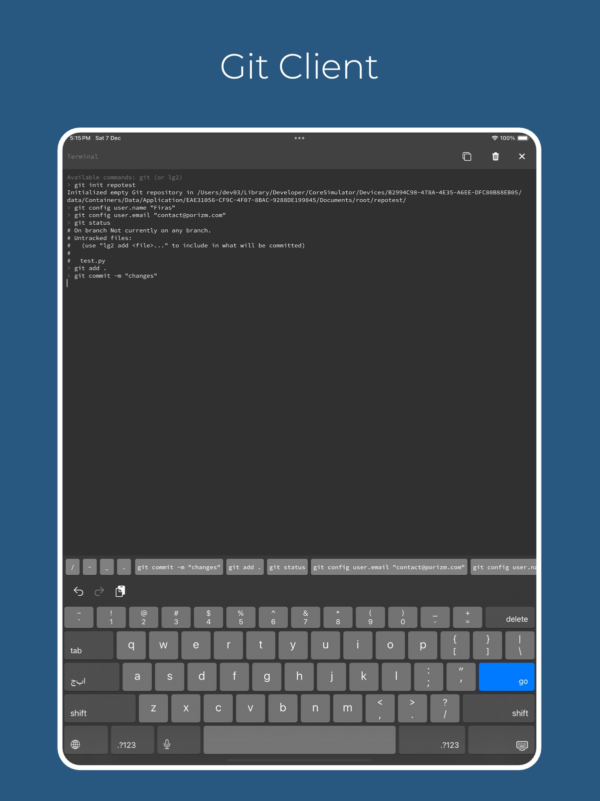 Pythonica: Code and Debug ipad screenshot 2
