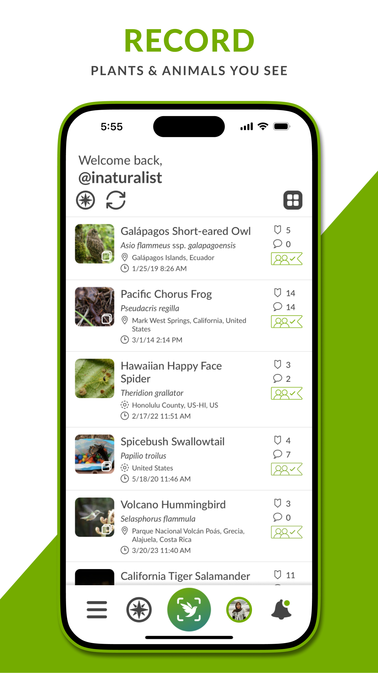 iNaturalist screenshot 5