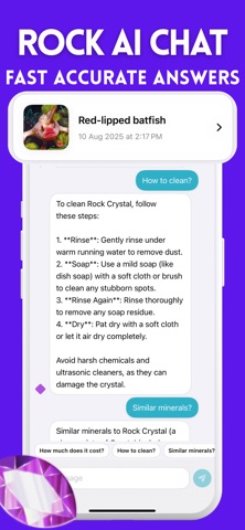 Rock Identifier : Stone Buddy Screenshot 2 of 4