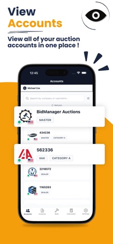 BidManager.io screenshot