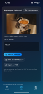 StegInsight screenshot 2