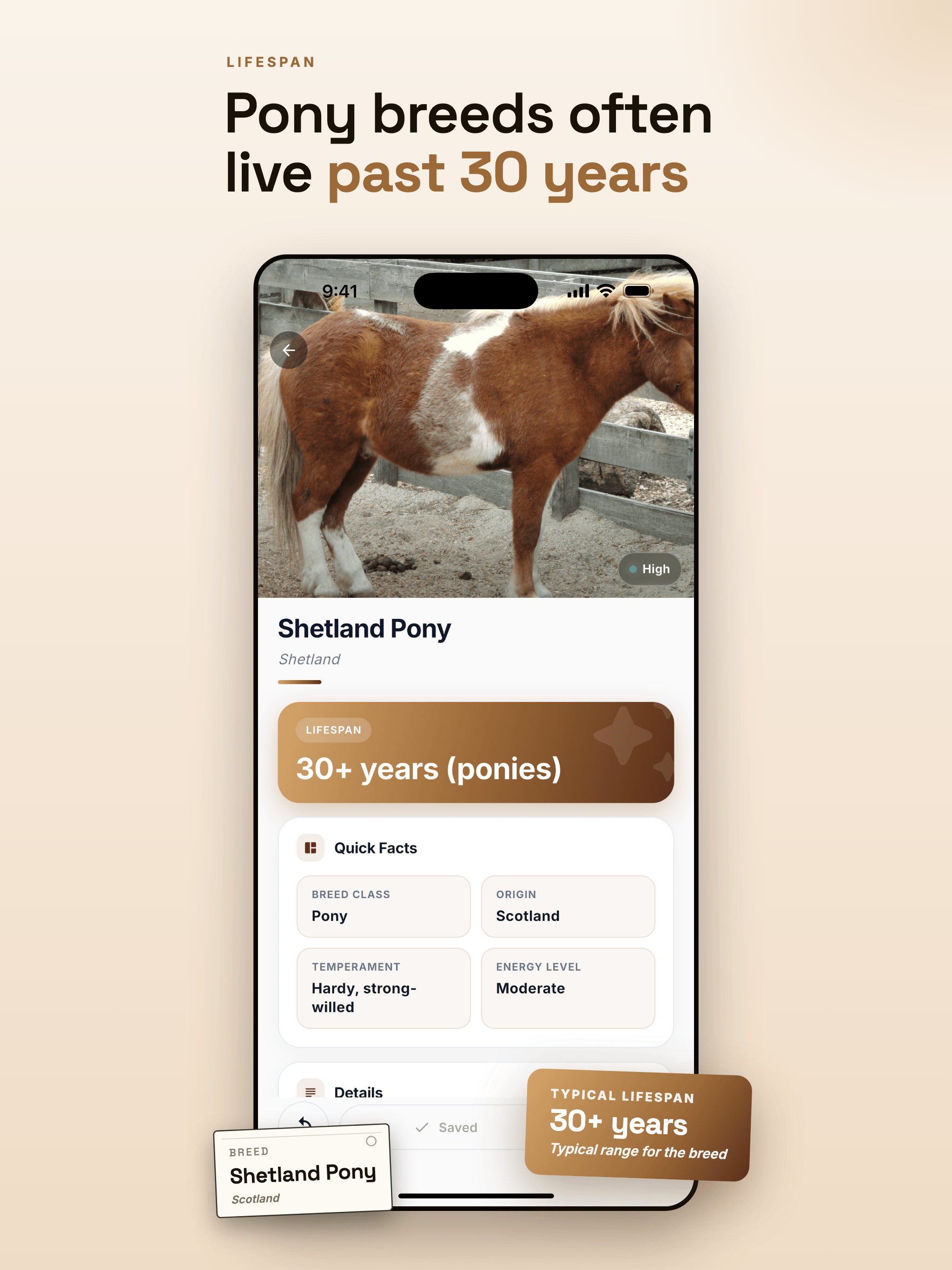 Horse Identifier & Breed ID screenshot 8