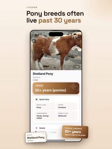 Horse Identifier & Breed ID iPad screenshot
