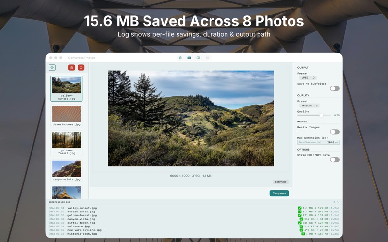 Detailed compression log with savings