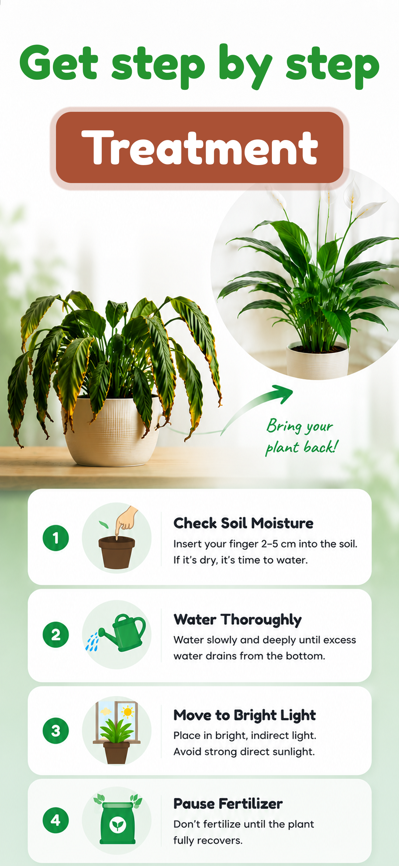 Tree and Plant Identifier screenshot 3