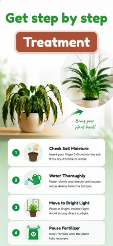 Tree and Plant Identifier Screenshot 3 of 7