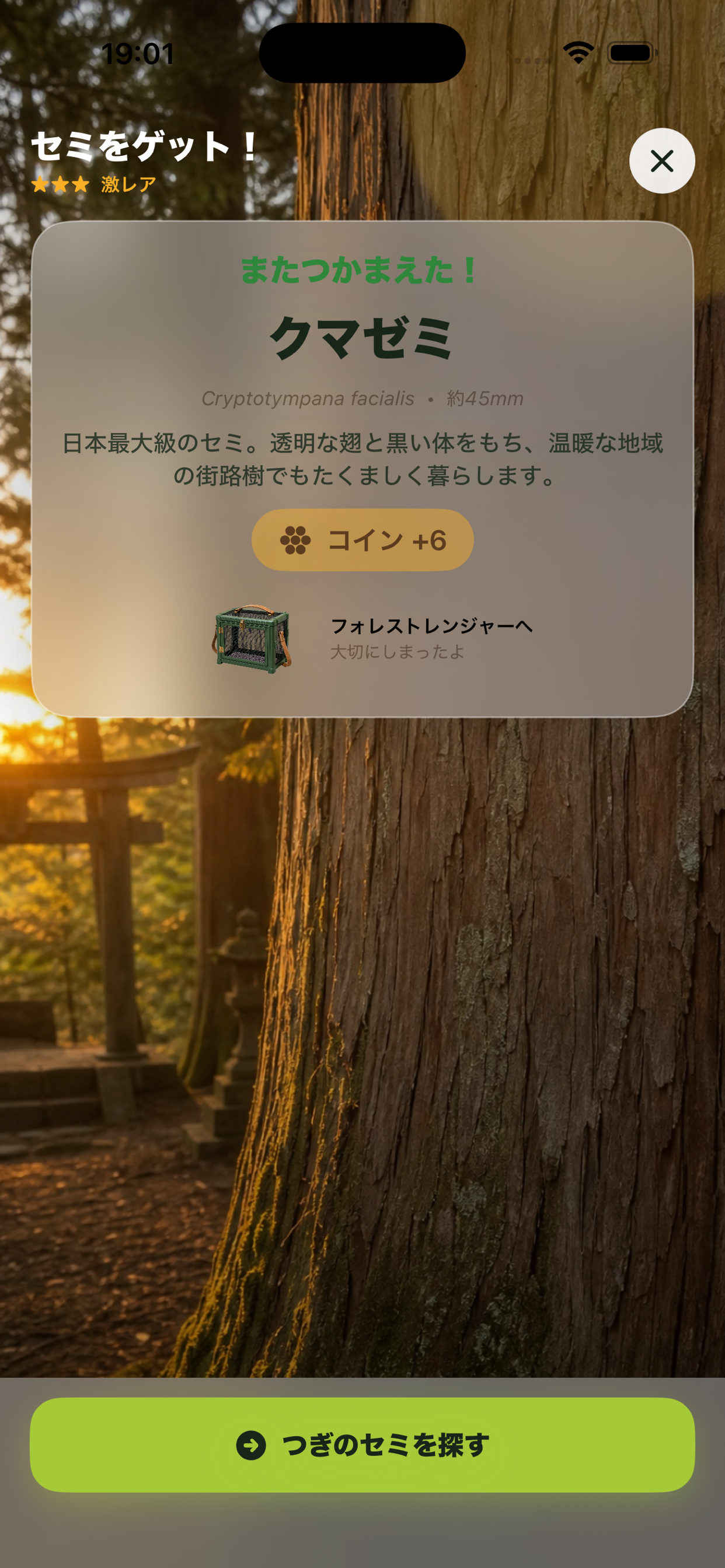 ぼくのせみとり screenshot 6