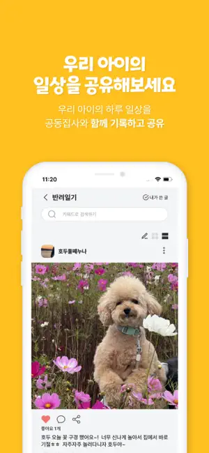 아하펫 screenshot 4