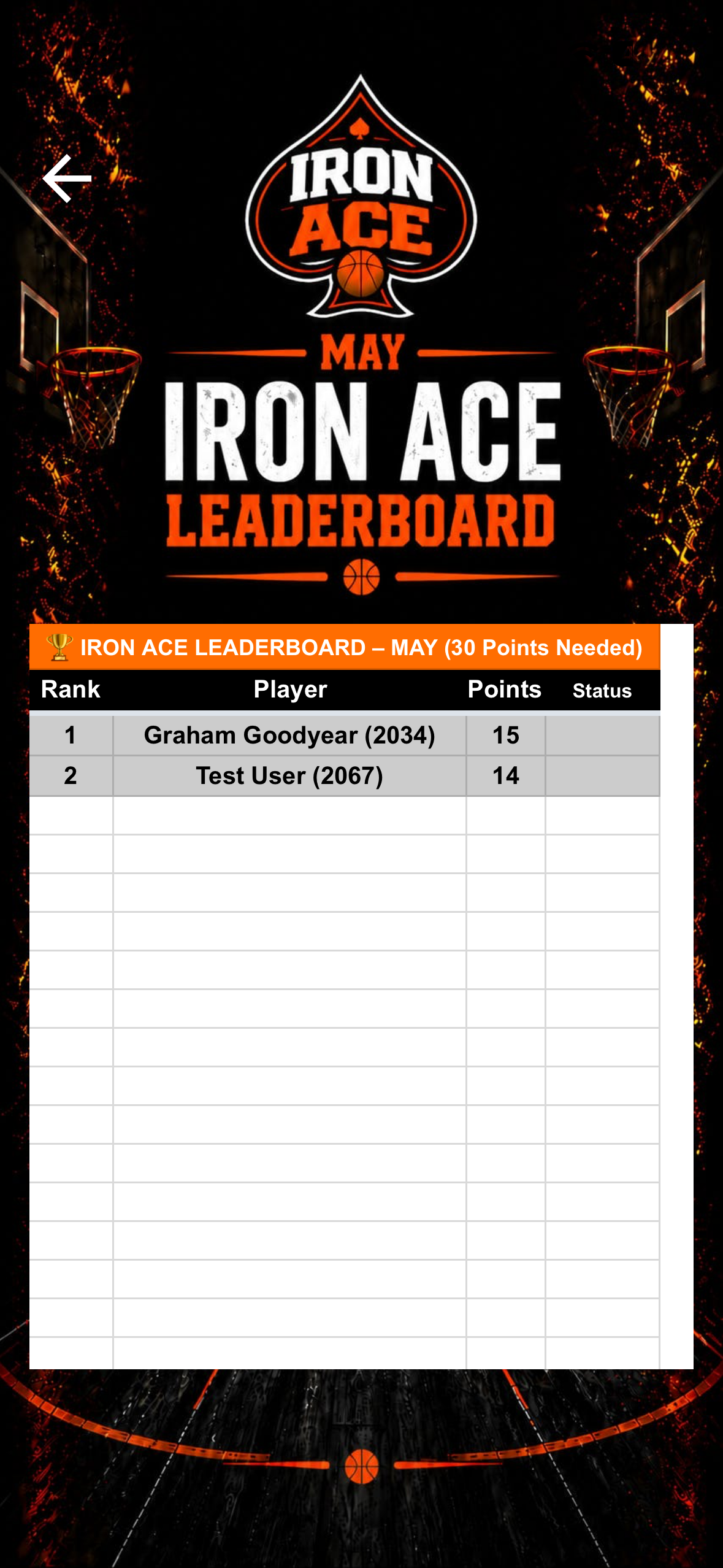 Iron Ace Basketball