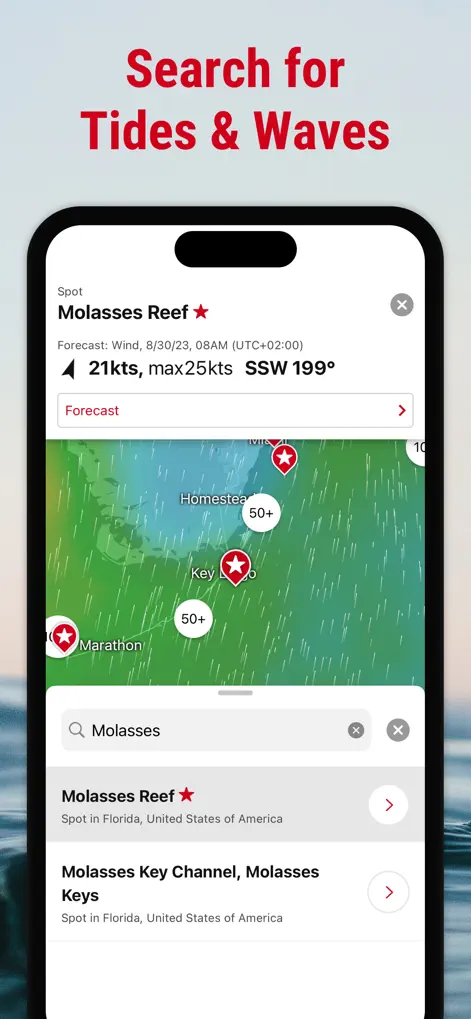Windfinder Pro: Wind & Weather - Weather App | MWM
