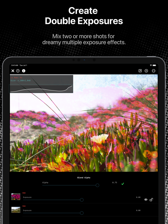 ImageFlux: RAW & MultiExposure iPad screenshot 3 - Photo & Video app