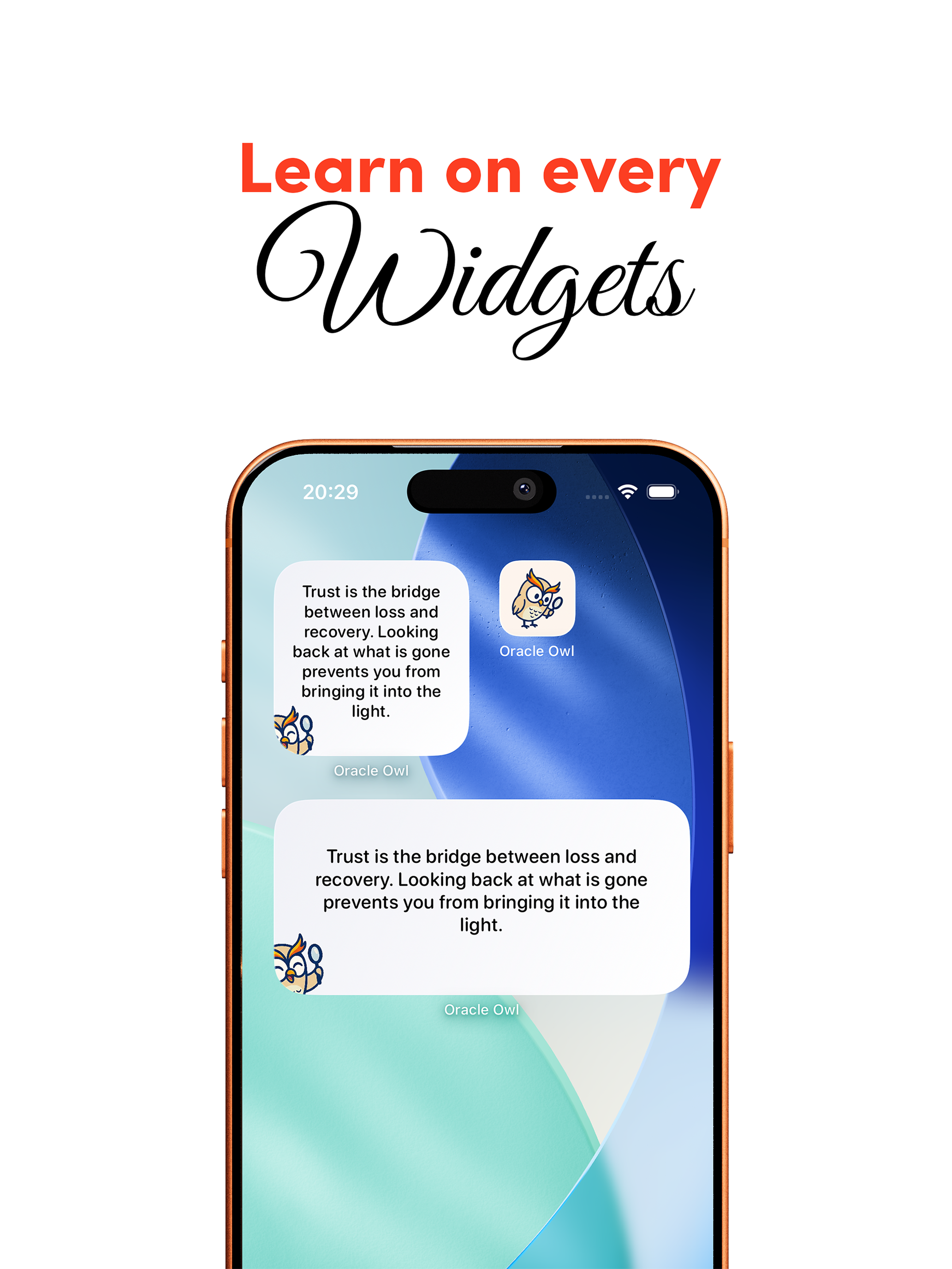 Oracle Owl screenshot 10