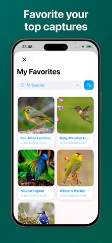 BirdCap - Bird Identifier Screenshot 3 of 4