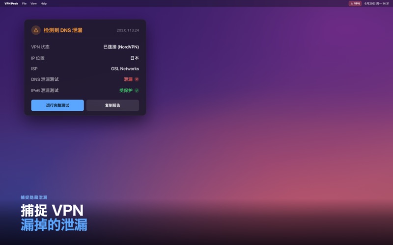 VPN Peek: DNS泄漏检测 screenshot