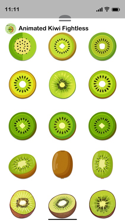 Animated Kiwi Fightless