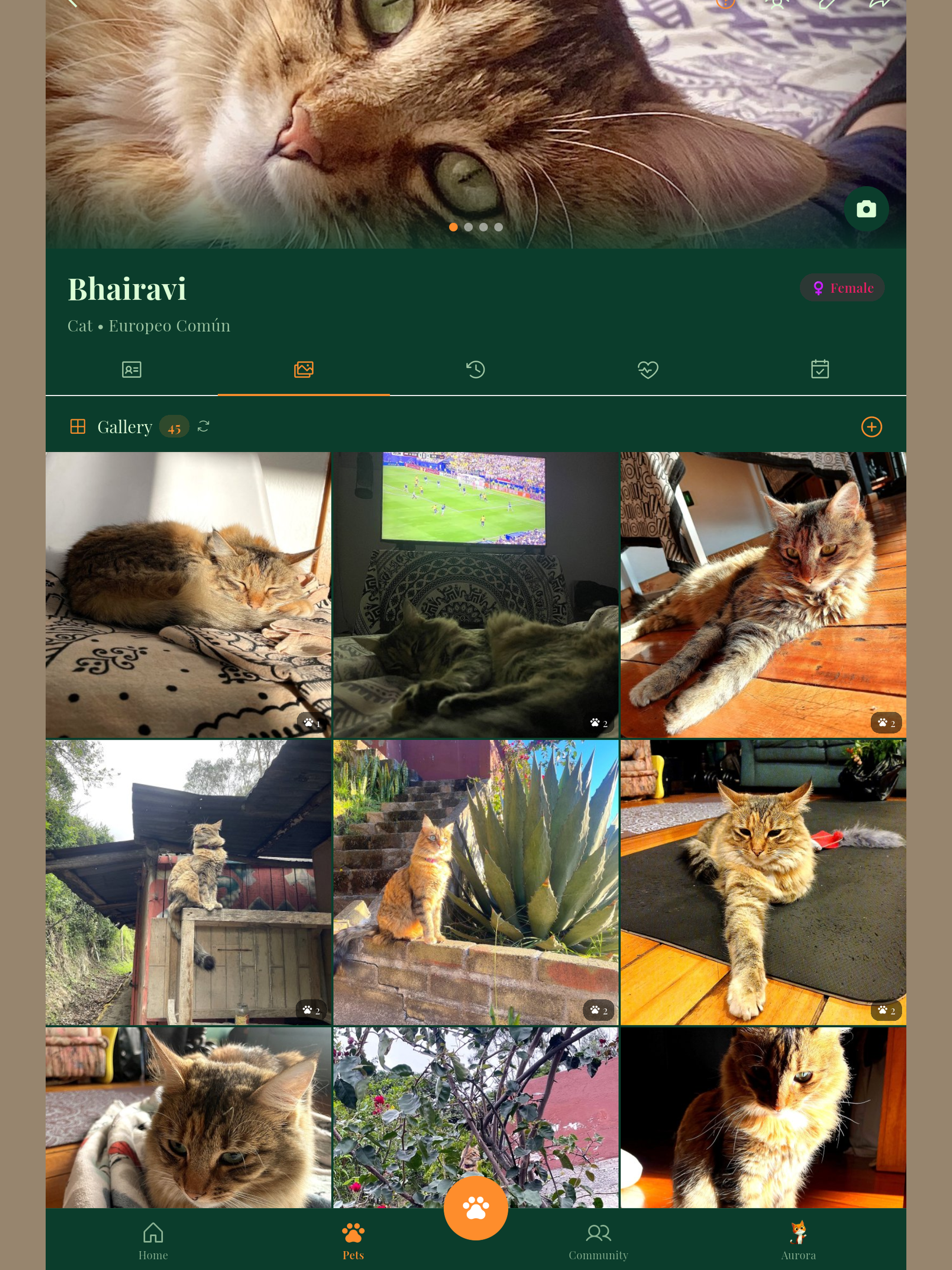 Aurora Pet - Pet Care screenshot 12