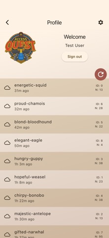 Access Quest screenshot