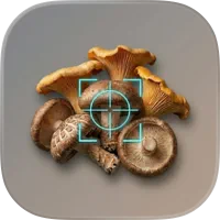 Mushroom Identifier: ShroomDex (iOS)