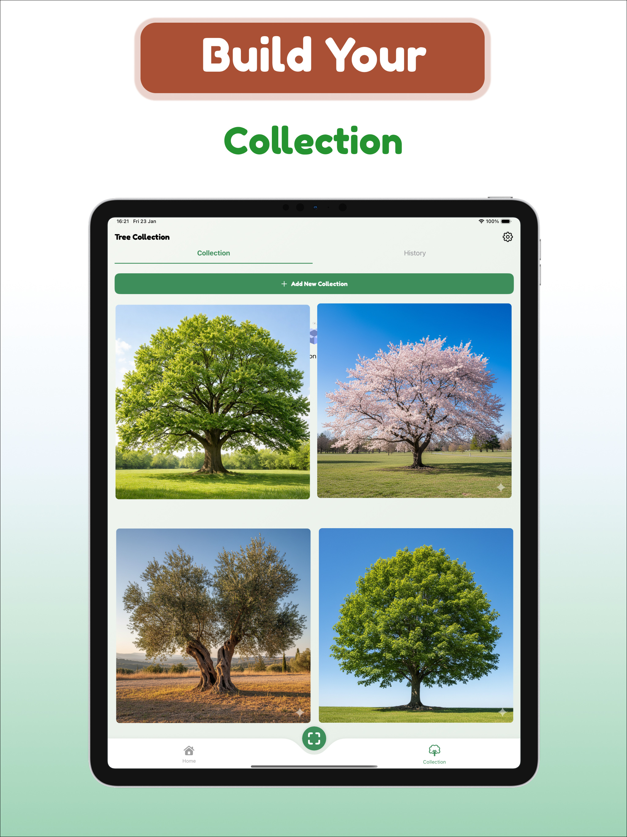 Tree and Plant Identifier screenshot 11