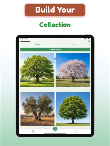 Tree and Plant Identifier iPad screenshot