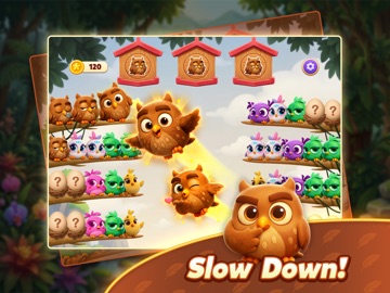 Chirpy Sort: Bird Color Puzzle iPad screenshot