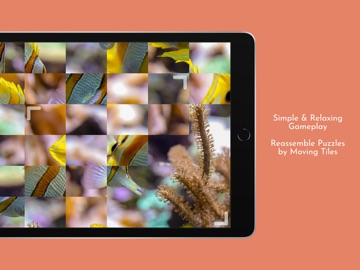 Bluzzle: The Jigsaw Reimagined iPad screenshot