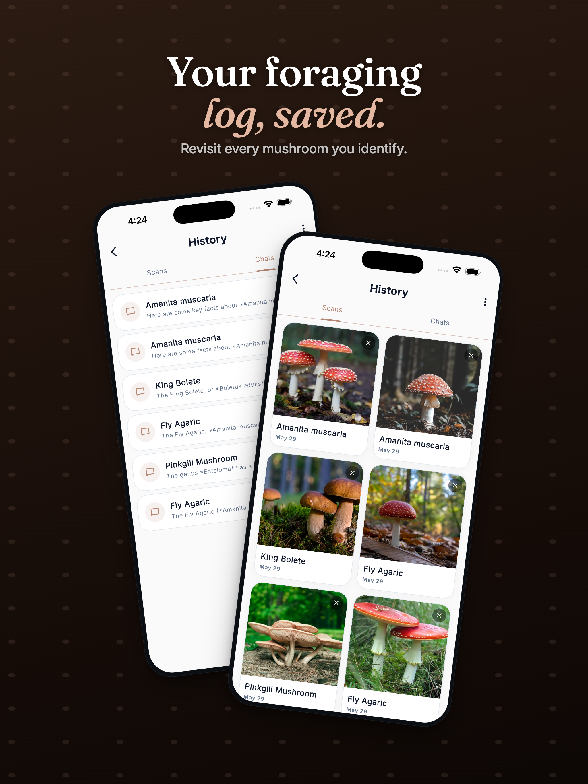 Scan: Mushroom Identifier screenshot 11
