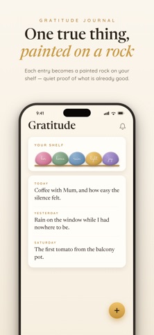 Shyne: Manifestation Journal iPhone screenshot