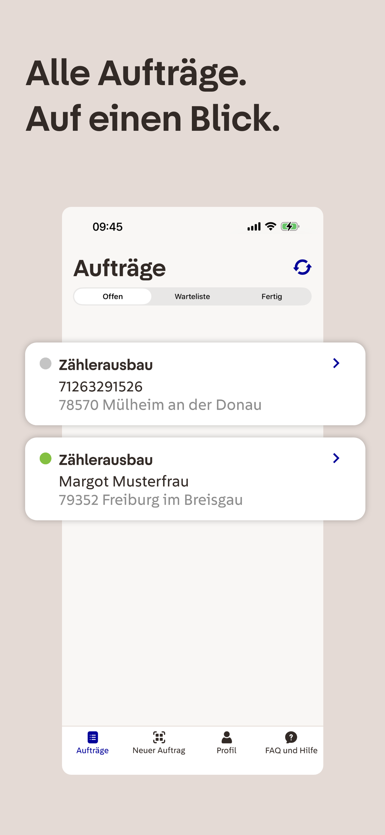 Netze BW Zählermontage screenshot 3
