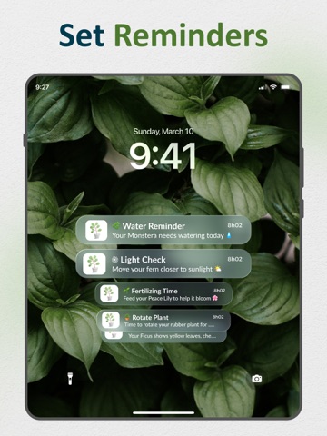 Plant Identifier: AI Diagnose iPad screenshot