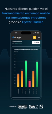 Metriggs screenshot