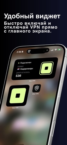 Изи VPN iPhone screenshot 3