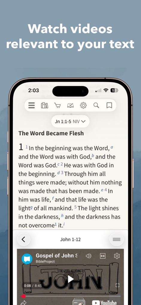 NIV Bible App + - The app integrates valuable video content, allowing users to watch BibleProject videos directly relevant to their current study passage.