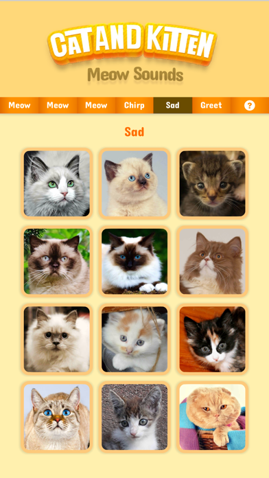 Cat & Kitten Meow Sounds Screenshot