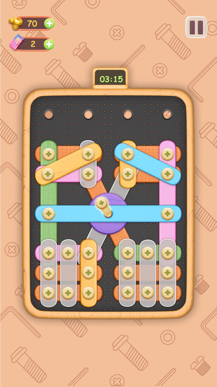 Nuts  Bolts - 3D Wood Puzzle