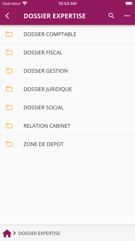 #4. Solution LMNP (iOS) Podle: MyCompanyFiles