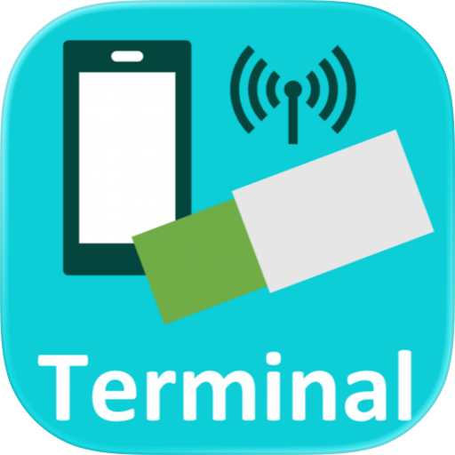 KFEI's Terminal App