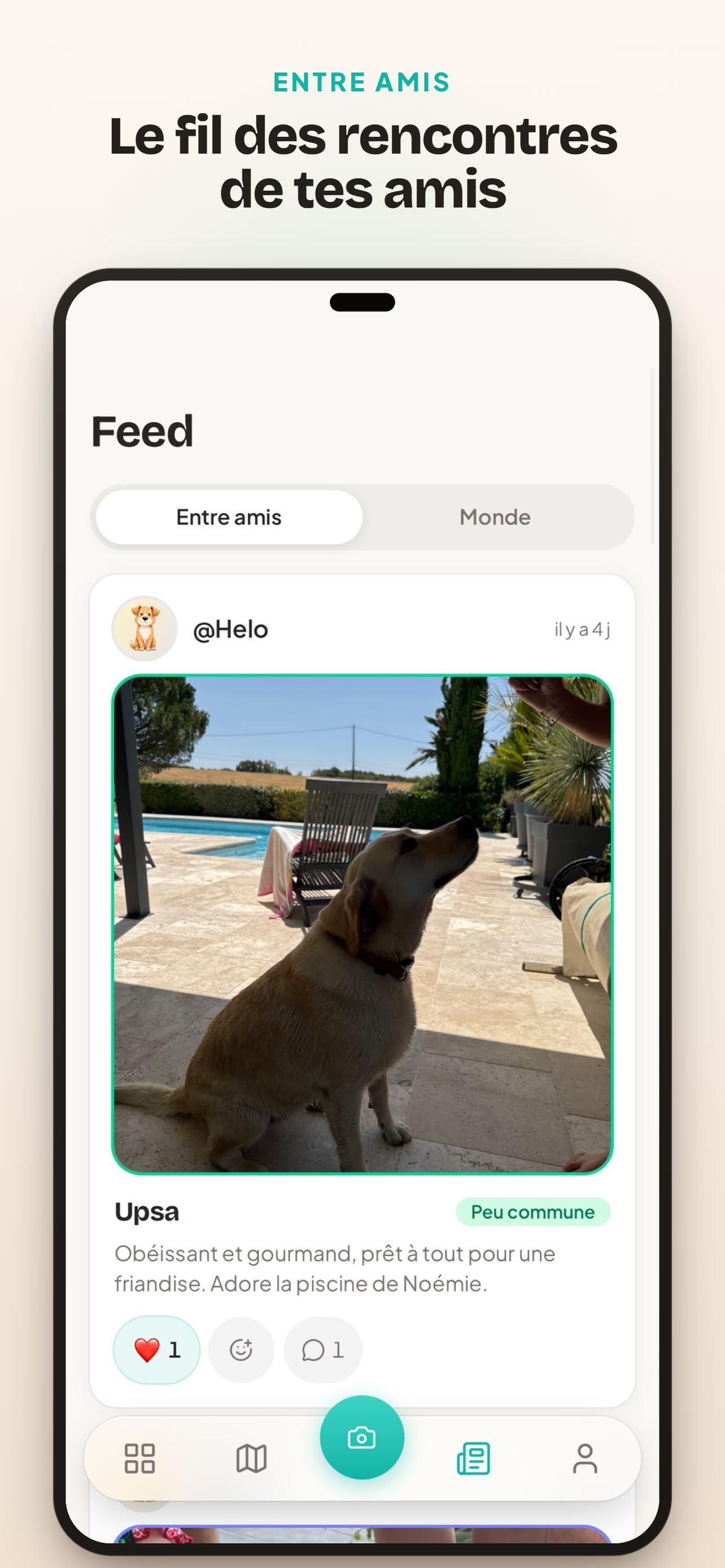 PetDex screenshot 2