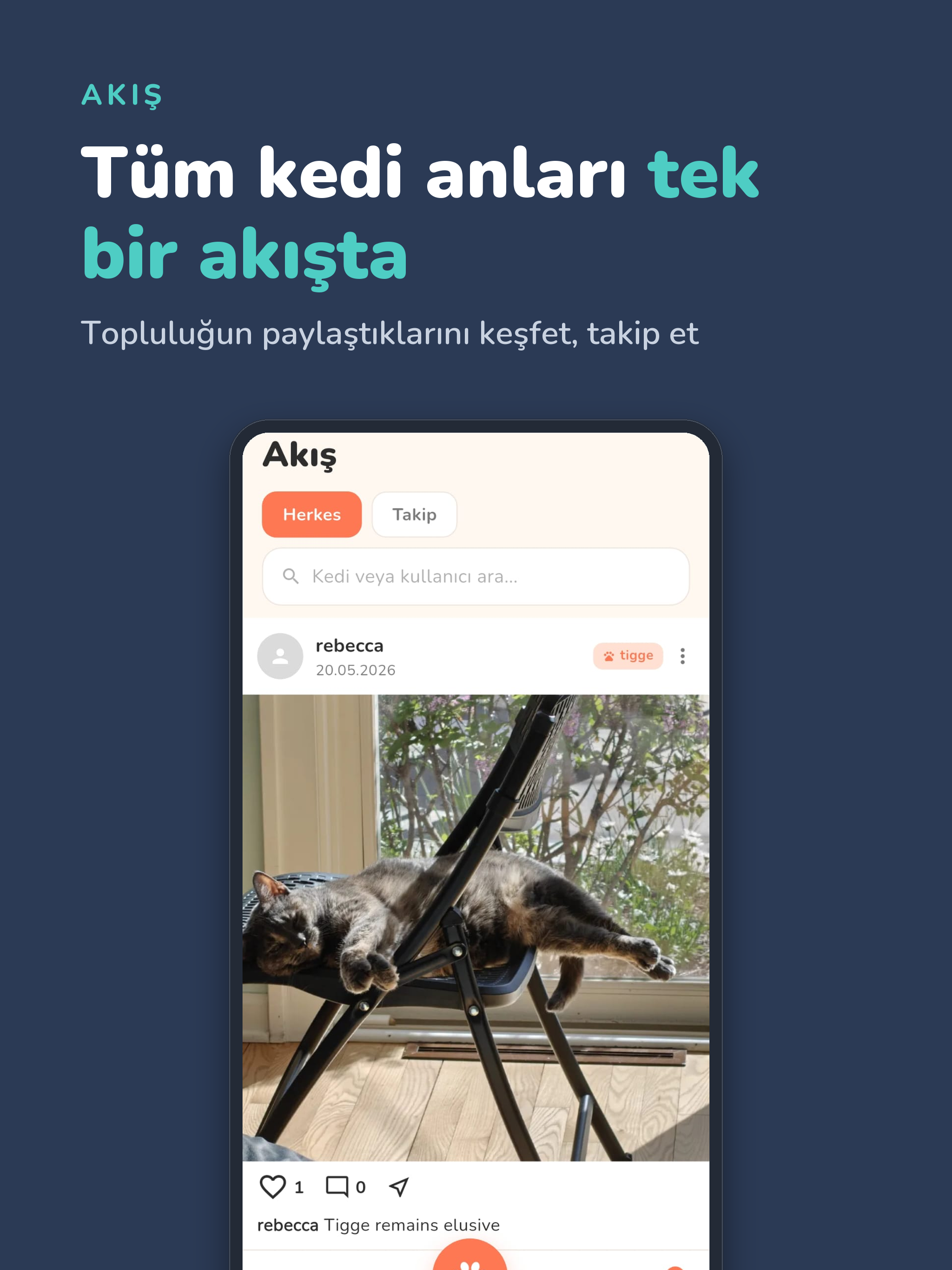 KediMap screenshot 13